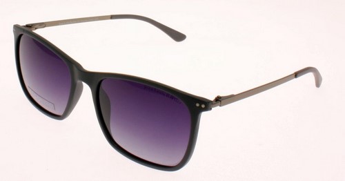 EA4108JLB 5005/17 Grey - Grey lenses - Jean Louis Bertier - napszemüveg